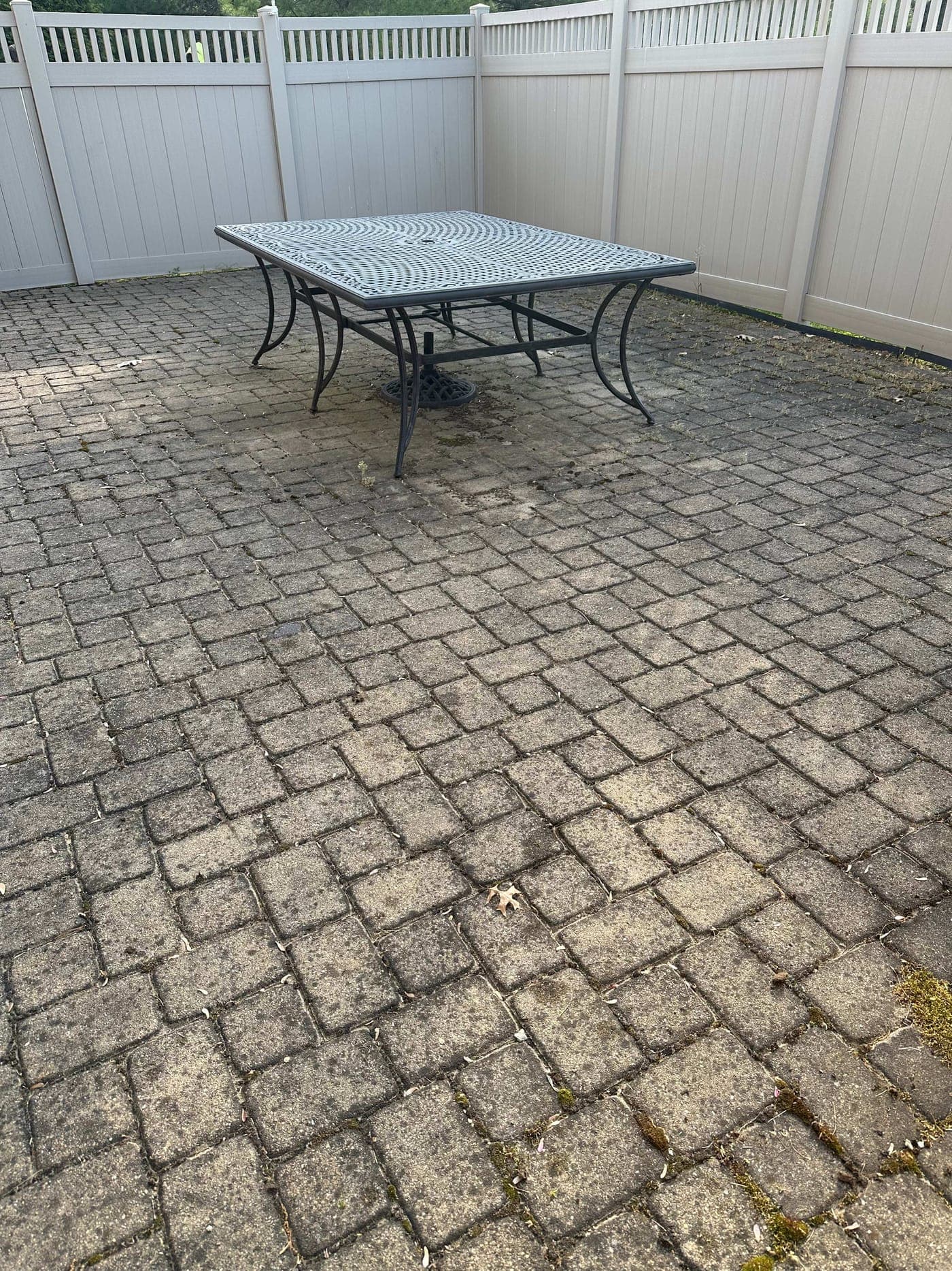 Dirty mossy brick paver patio before cleaning with vinyl fence